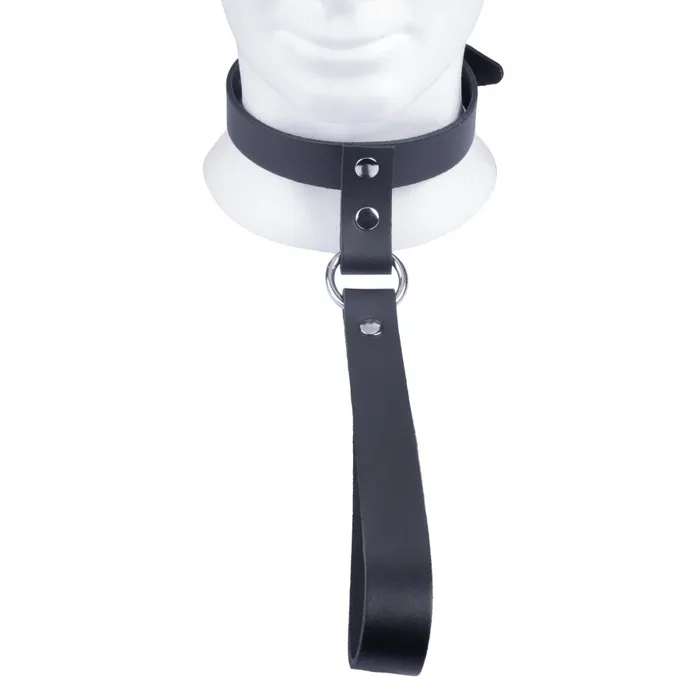 Restraints The Red Leather Collar with Short Leash The Red Restraints The Red Leather Collar with Short Leash The Red