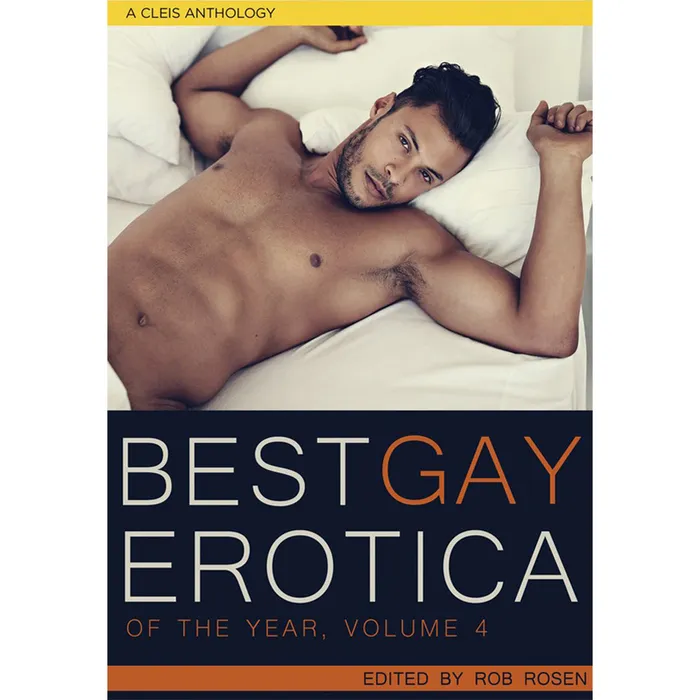 Best Gay Erotica of the Year Volume 4 Cleis Press Simon Schuster Anal