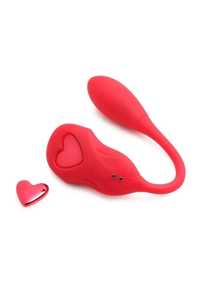 Frisky Female Sex Toys Frisky Double Love Connection Rechargeable Silicone Panty Vibe with Remote