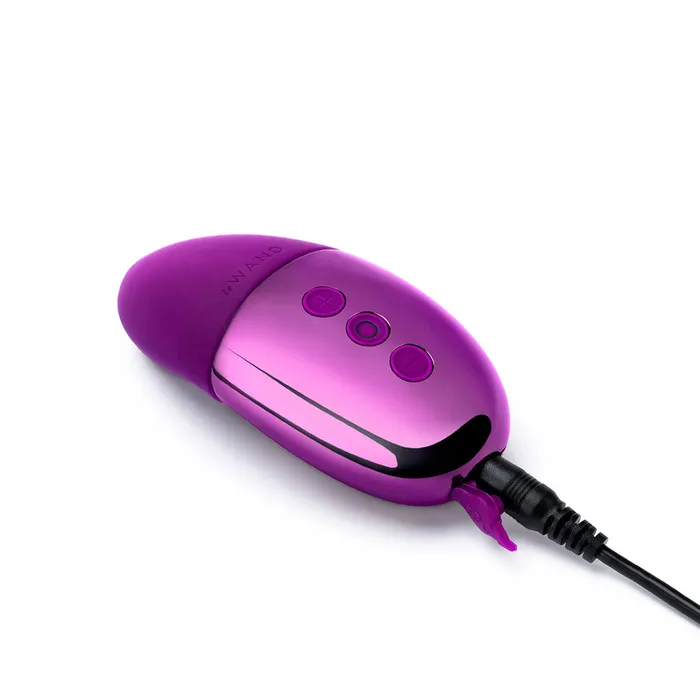 Le Wand Chrome Point Assorted Colors Le Wand Vibrators