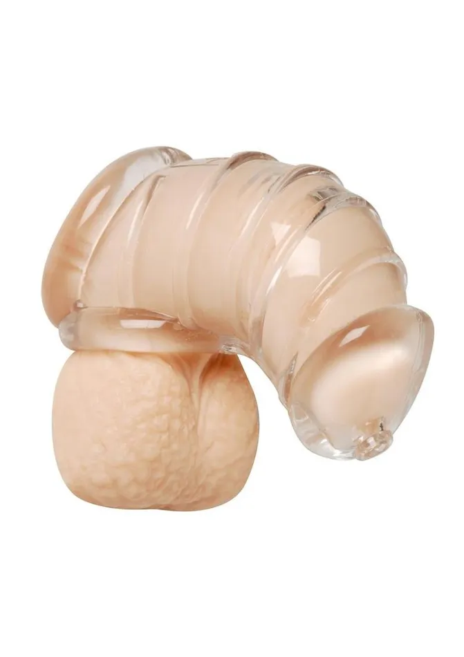 Master Series Male Sex Toys Master Series Detained Soft Body Chastity Cage