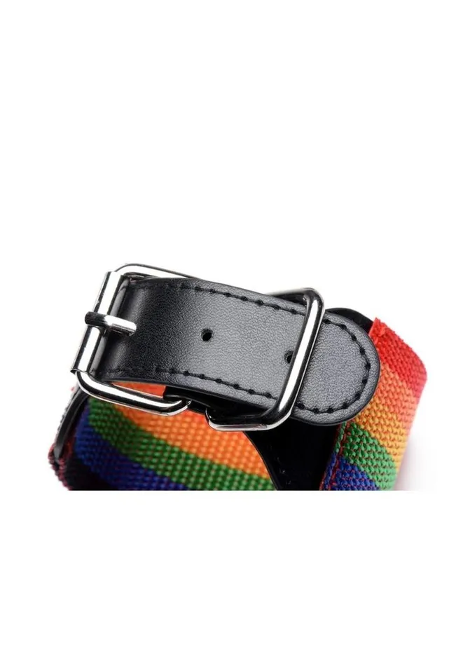 Master Series Restraints Kinky Pride Rainbow Bondage Set WristAnkle Cuffs and Collar with Leash