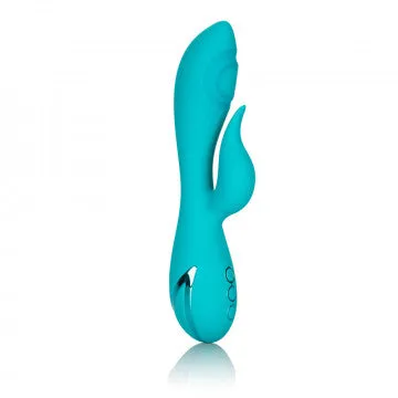 Nice and nasty Bz Vibrators California Dreaming Santa Monica Starlet