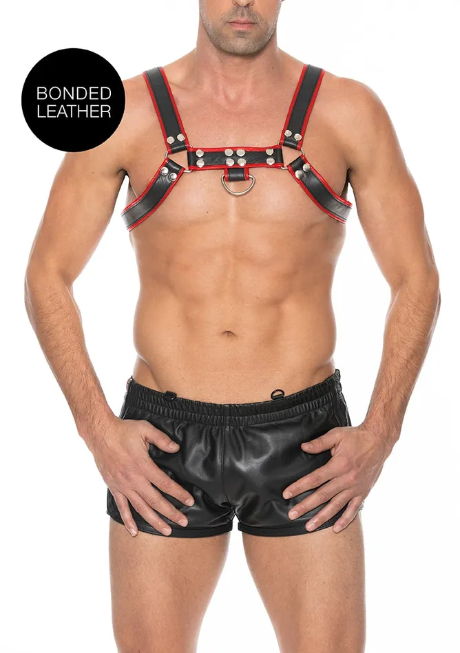 Vibrators Shots America Chest Bulldog Harness Lxl Red