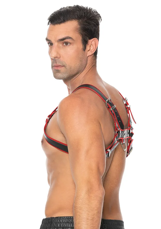 Vibrators Shots America Chest Bulldog Harness Lxl Red