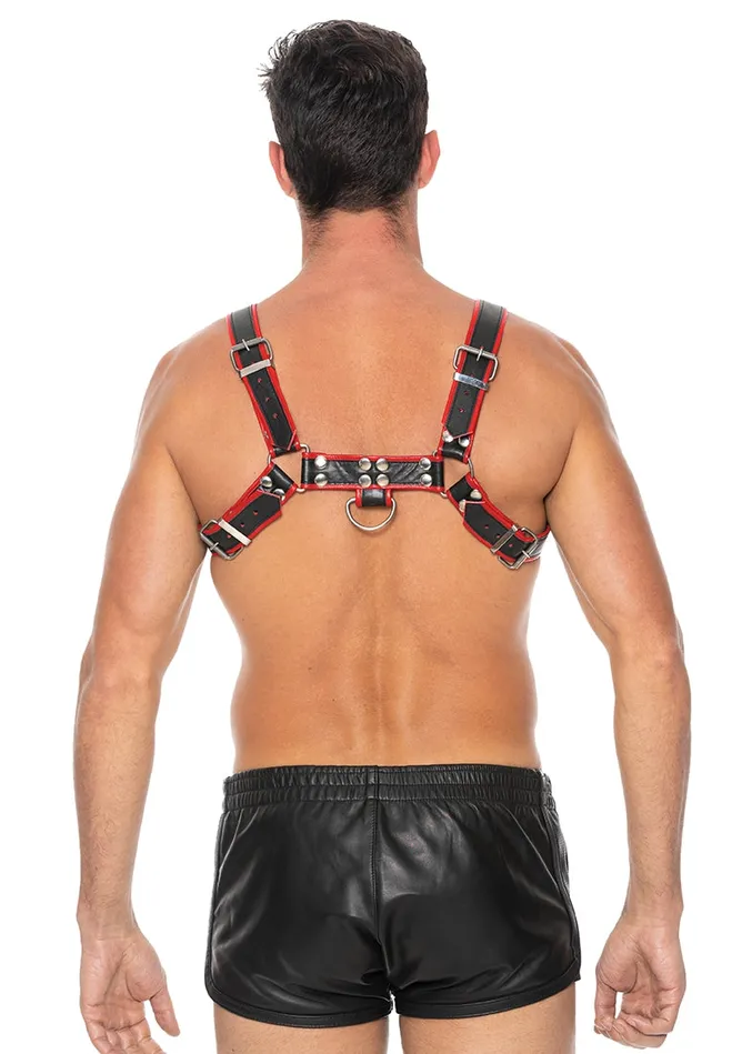 Vibrators Shots America Chest Bulldog Harness Lxl Red